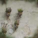 20 Cozy DIY Farmhouse Decor Ideas That Are Totally Worth It